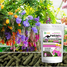 Phân bón cho hoa lan Organic Austra 5-5-5-75 OM tan chậm, viên nén dinh dưỡng hữu cơ chính hãng Úc (1kg, 5kg, 10kg, 25kg, 50kg)